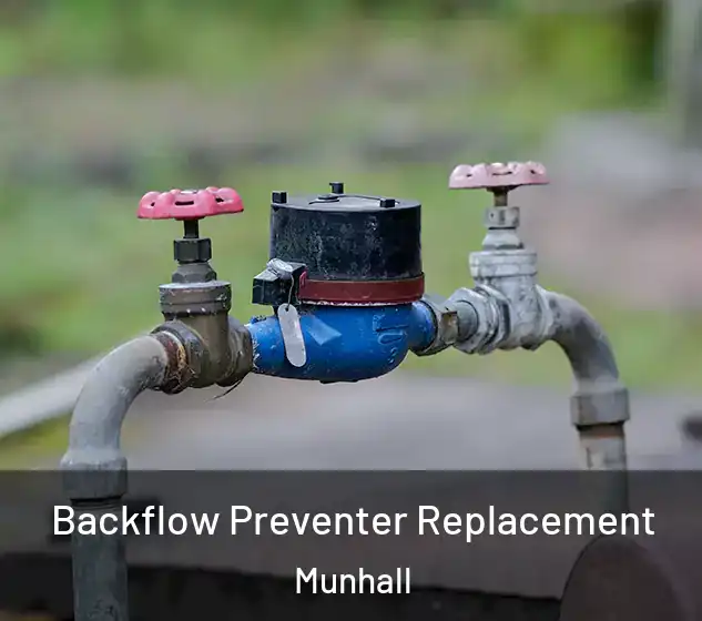  Backflow Preventer Replacement Munhall