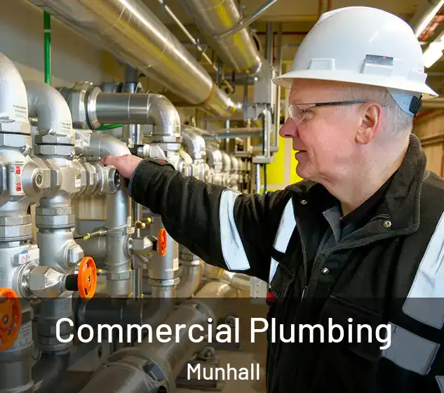  Commercial Plumbing Munhall