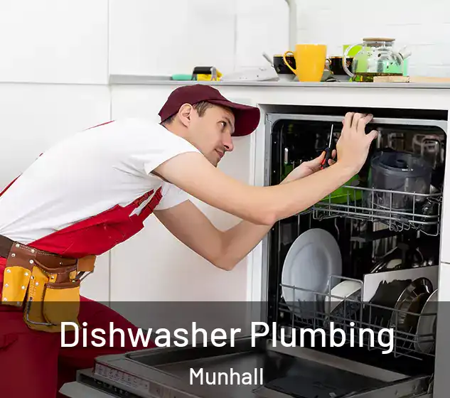  Dishwasher Plumbing Munhall