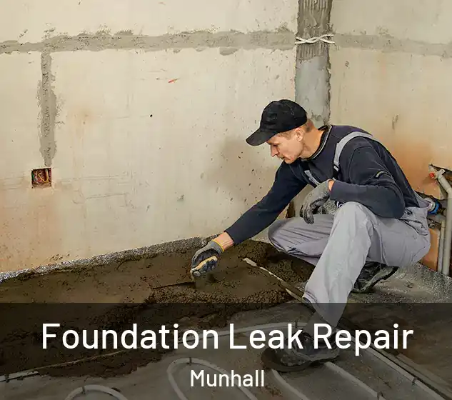  Foundation Leak Repair Munhall