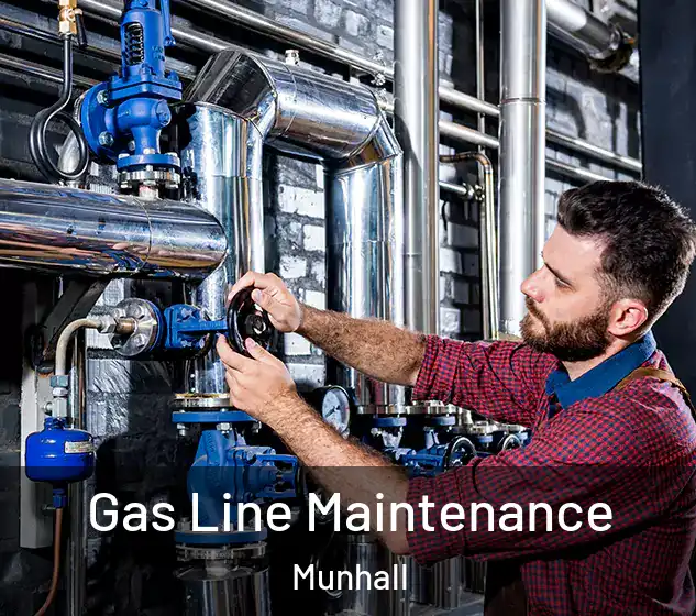  Gas Line Maintenance Munhall