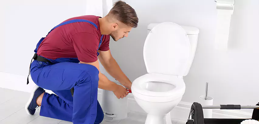 Scope of Bathroom Toilet Bowl Replacement Services in Munhall, PA
