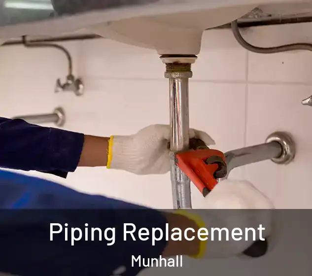  Piping Replacement Munhall