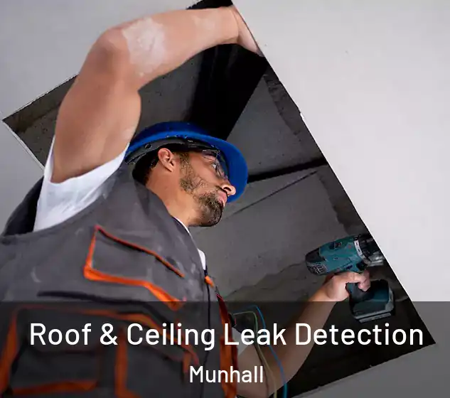  Roof & Ceiling Leak Detection Munhall
