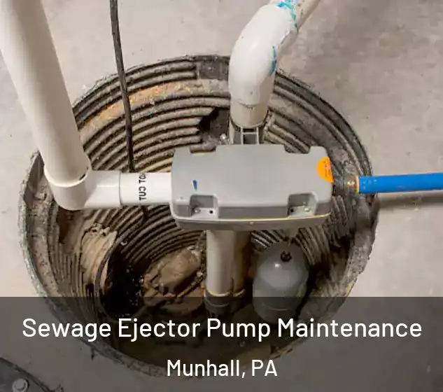  Sewage Ejector Pump Maintenance Munhall, PA