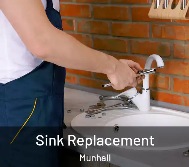  Sink Replacement Munhall