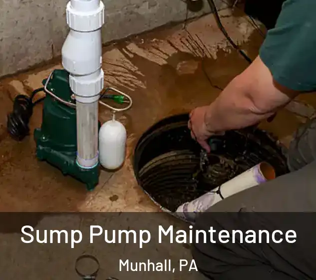  Sump Pump Maintenance Munhall, PA