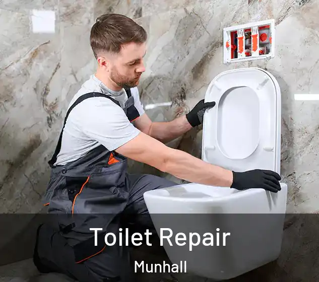  Toilet Repair Munhall