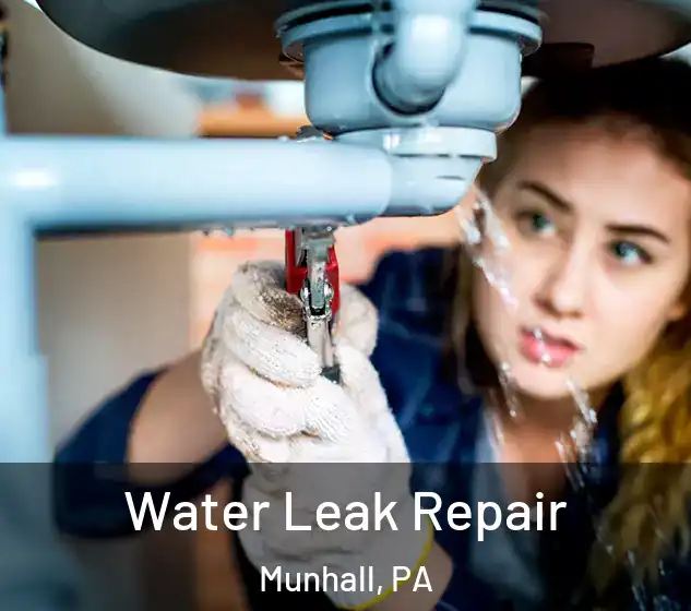  Water Leak Repair Munhall, PA