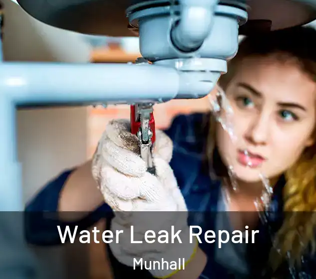  Water Leak Repair Munhall